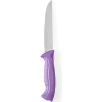 Hendi Fleischmesser 150/280 mm PP griff violett
