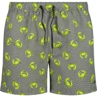 CMP MAN Shorts oil green (E319) 46