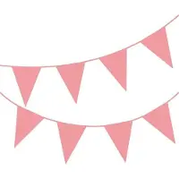 OEM Bunte Flaggenleine für Feiern - 10 Meter - 20 Buntflaggen
