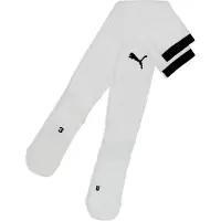 Puma teamFINAL26 Socks