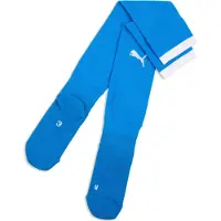Puma teamFINAL26 Socks