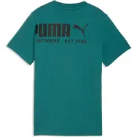 Puma WIP 692535-41 in Emerald Ice color size 12 años