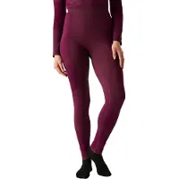 Dare 2b In The Zone Iii Baselayer-hose
