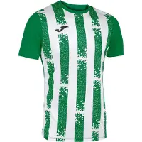 Joma Inter Iii Kurzarm-t-shirt Grün L Mann Grün L