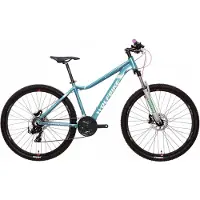Wolfbike Kinder-Elektro-Mountainbike Diva 27