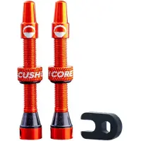 CushCore Paar Tubeless-Ventile