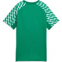Puma teamLIGA26 Jersey Flock: - Größe: 152