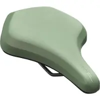Newton Sattel Roy Minima