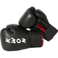 KWON Boxhandschuhe