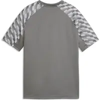 Puma teamLIGA26 Jersey Jr flat medium gray-white-flat light gray (13) 152