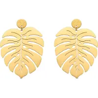 Luxenter 18k vergoldete Ohrringe - Mizay