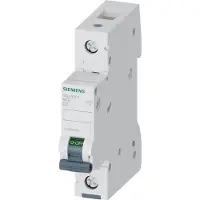 Siemens Automat 5SL4106-7 Leitungsschutzschalter 1POL C6