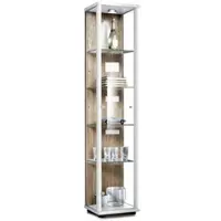 K-Möbel Glasvitrine Stehend 176x37x33 cm Made in Germany mit LED & 4 Höhenverstellbaren Glasböden Weiß & Sonoma Eiche