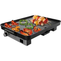 Cecotec Magnet 1800 Elektrogrill