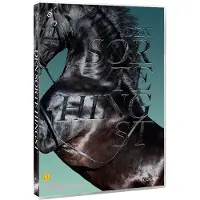 NON STOP BLACK BEAUTY - DEN SORTE HINGST