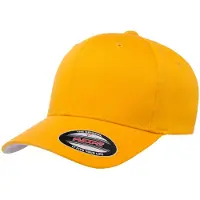 Flexfit - Kappe (Gold)