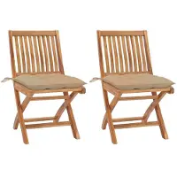 Prolenta Maison Exclusive - Klappstühle, 2 Stück, mit beigen Kissen, aus massivem Teakholz