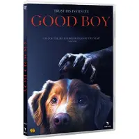 Angel GOOD BOY