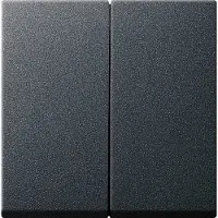 Gira 026628 Wippe 2fach+Set IP44 Standard 55,E2 Anthrazit
