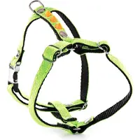 Martin sellier Fluoreszierendes Hundegeschirr