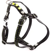Martin sellier Fluoreszierendes Hundegeschirr