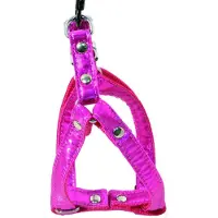 Martin sellier Disco S