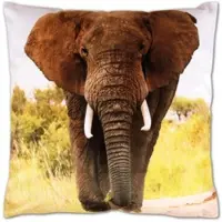 Bestlivings Kissenhülle Fotodruck Elefant 40 x 40 cm mit Füllung