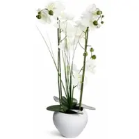 WDMT Luxus-Kunstorchidee (Phalaenopsis) in weißer Keramikvase – 53 cm