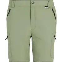 Regatta Shorts Leesville III