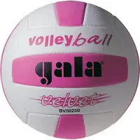 Gala Samt BV 5023 S Trainingsball Volleyball Größe 5 genäht Kunstleder 270-290g
