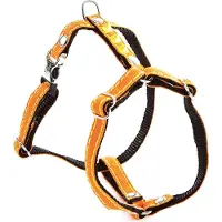 Martin sellier Fluoreszierendes Hundegeschirr