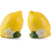 Excelsa salz und pfeffer set Amalfi keramik 5,5x7,5x4 cm gelbe