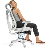 Desktronic Bürostuhl Ergonomisch SitPro, Verstellbarer, Grau, 3-Dimensional Armlehne, Integrierte 5-Wege-Lendenwirbelstütze