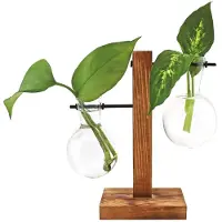 Winkee - Hydro Vases Flower Vase