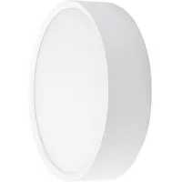 Brumberg LED-Außenwandlampe EYE offen, weiß, CCT, IP65 Eye, weiß / opal, für Flurbereich, Aluminium