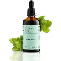 Marishanti Melissen Extrakt – alkoholfrei 100 ml Tropfen
