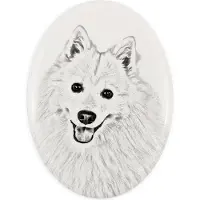 Art-Dog Japan-Spitz, Japanischer Spitz, Nihon Supittsu - Gedenktafel mit einem Foto eines Hundes, Grabplatte mit Druck, personalisierte ovale Platte der Marke