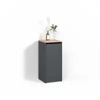 Livinity BADSCHRANK Paolina Anthrazit/Goldkraft Eiche 40.2 x 88.2 cm mit Wäschkorb