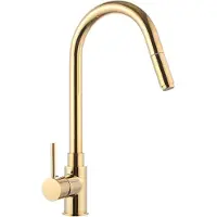 StarTech.com Moderner Wasserhahn/Armatur - Deckmontage - Metallgehäuse - Ventilkern aus Edelstahl - Einfache Installation - Glatte, leicht zu reinigende Oberfläche - Gold