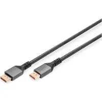 Digitus DisplayPort — DisplayPort
