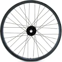 La ruota Cargo/vae 20´´ Boost Disc Vorderrad