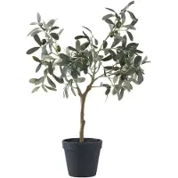 House Nordic Olive