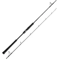 Shimano Fishing Game Type Cast Slow Jigging Rute Silber 1.68 m / 350 g Silber 1.68 m
