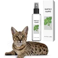 OEM Katzenkrautspray für Training und Entspannung mit Katzengras
