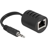 DeLOCK Stereo Audio Extender RJ45 Buchse zu 3,5 mm Klinkenstecker Cat.5