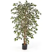 OEM Ficus Kunstboom - 200 cm - Echte Houten Stammen - Kamerdecoratie - Groen-wit
