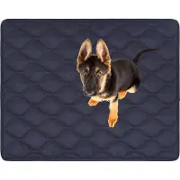 OEM Wasserdichtes Autohundebett für kleine Hunde 70 x 50 cm - S - schmutzabweisend - wasbar - Outdoor-Hundebett