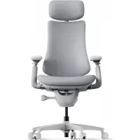 Libernovo Omni Dynamic Ergonomischer Stuhl Spacegrau 48 cm 1 Stück