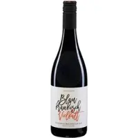 Weingut Gober & Freinbichler Blaufränkisch Vielfalt 2021 Gober & Freinbichler 0,75l