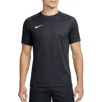 Nike Herren Trikot M NK DF PARK VIII JSY SS